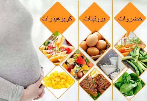 تغذية الحامل