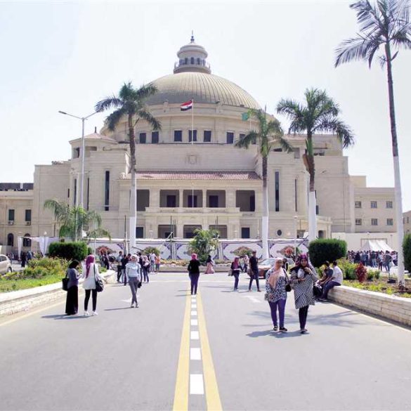 الجامعات المصرية