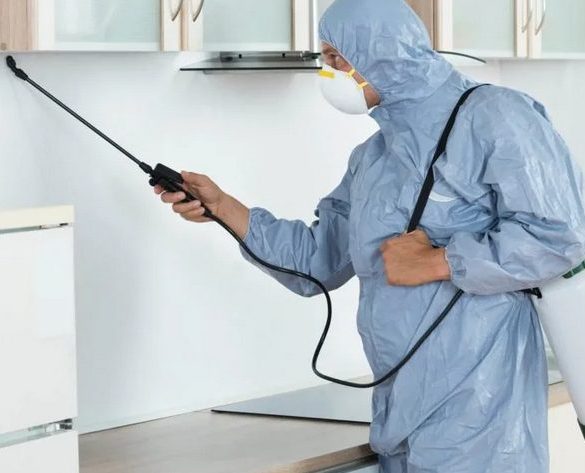 أفضل شركة رش مبيدات في الرياض
