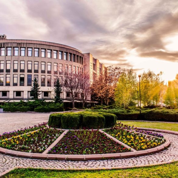 الجامعات التركية