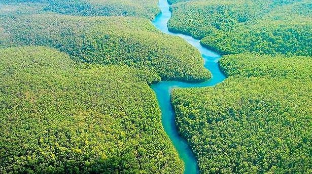 أسئلة ثقافية علمية