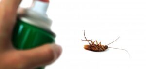 القضاء على الصراصير