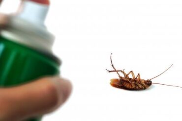 القضاء على الصراصير