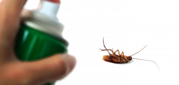 القضاء على الصراصير